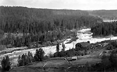 Holafors hemsida